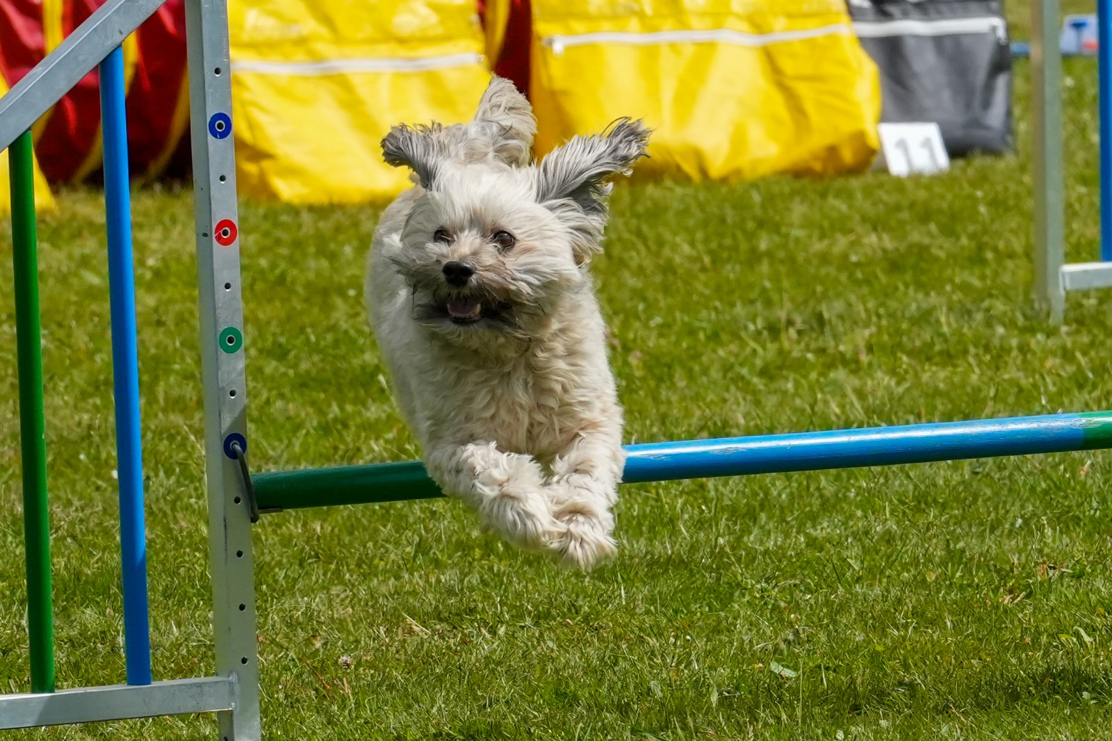 Agi-Turnier_Mai2025_5.0