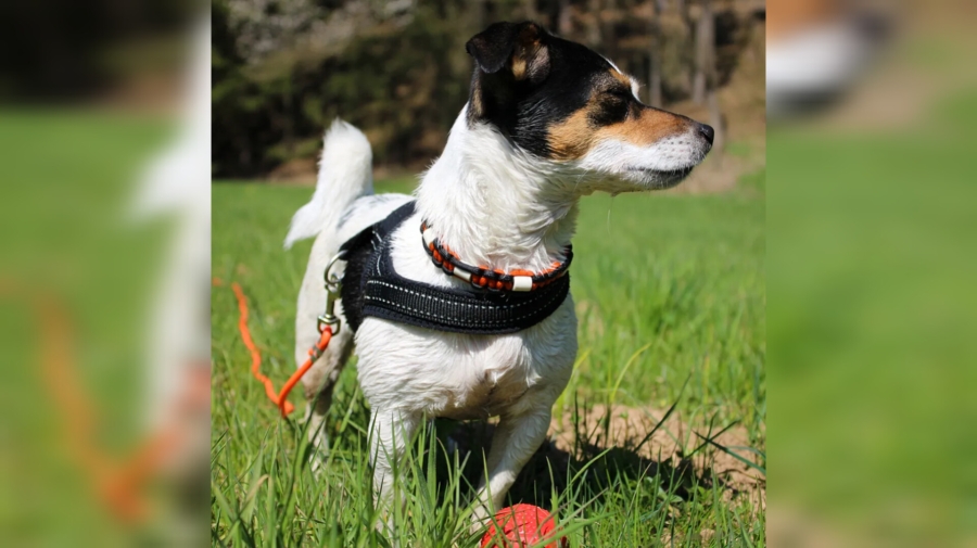 InShot_20251209_001622940